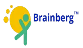 Brainberg Knowledge Solutions Private Limited