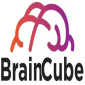 Braincube Enterprise Solutions Private Limited