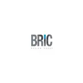 Bric Designs Private Limited