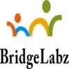 Bridgelabz Solutions Private Limited