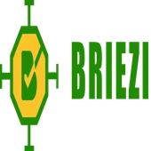 Briezi Insuretech Private Limited