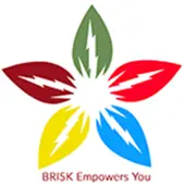 Brisk Enterprises Private Limited