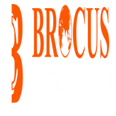 Brocus It Solutions Private Limited