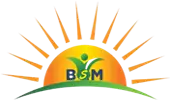 Bsmhealth India Private Limited