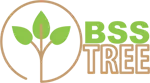 Bsstree Enterprise Private Limited