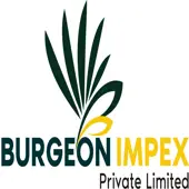 Burgeon Impex Private Limited