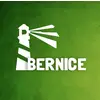 Bernice Solutions Private Limited