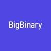 Big Binary Solutions Private Limited