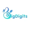 BigDigits Digital Solutions LLP image