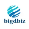 Bigdbiz Solutions Private Limited