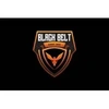 Black Belt Detectives Private Limited