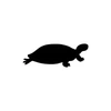 Black Turtle India Private Limited