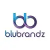 Blubrandz Technologies Private Limited