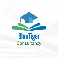 BLUE TIGER CONSULTANCY LLP