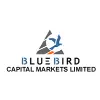 Blue Bird Capital Markets Limited