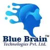 Blue Brain Technologies Private Limited
