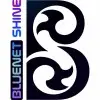 Bluenet Shine Private Limited