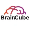 Braincube Enterprise Solutions Private Limited