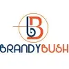 Brandybush Services Private Limited