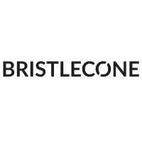 Bristlecone India Limited