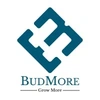 Budmore Agro Industries Private Limited