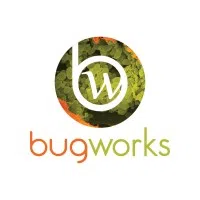 BUGWORKS RESEARCH INDIA PRIVATE LIMITED image