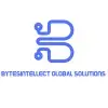 Bytesintellect Global Solutions Private Limited