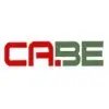 Cabe Springs And Fasteners India Private Limited
