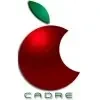 Cadre Software Solutions Private Limited