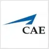 Cae Simulation Technologies Private Limited