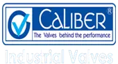 Caliber Valves Private Limited