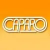 Caparo Autotech Limited