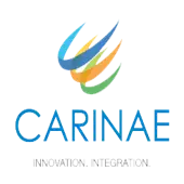 Carinae Consultants Private Limited