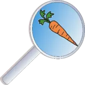 Carrotsnsticks Traveltech Private Limited