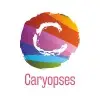 Caryopses Private Limited