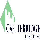 Castlebridge Consulting India Private Limited