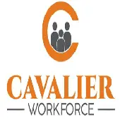 Cavalier It Solutions Private Limited