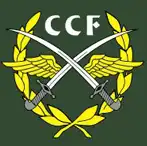 Ccf Security And Facility Management India Private Limited