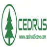 Cedrus Silicone Private Limited