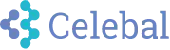 Celebal India Solutions Private Limited