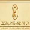 Celestial Finhold Private Limited