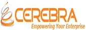 Cerebra It Services Private Limited