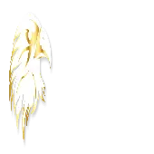 Challenger Computers Private Limited