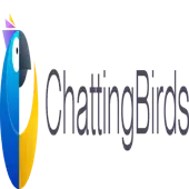 Chattingbirds Private Limited