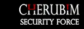 Cherubim Security Force Llp