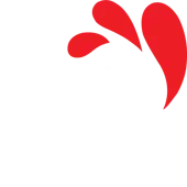 Chickywok India Private Limited