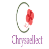 Chrysaellect Education Solutions Llp