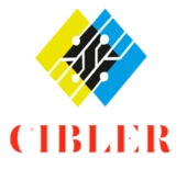 Cibler Ems Systems Private Limited