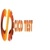 CICD TEST LLP image