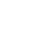 Cicsa Chains India Private Limited